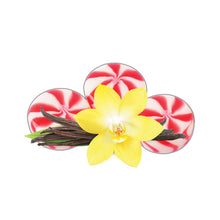 Load image into Gallery viewer, Hookafina Vanilla Shake