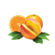 Load image into Gallery viewer, Hookafina Wonderland