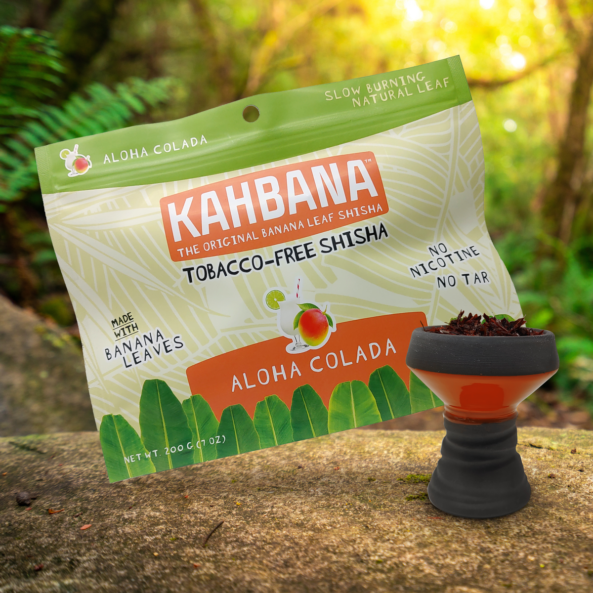 what does rabbit tobacco look like About Rabbit-tobacco